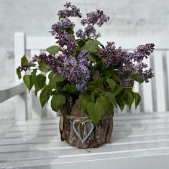 syrenbillede forside